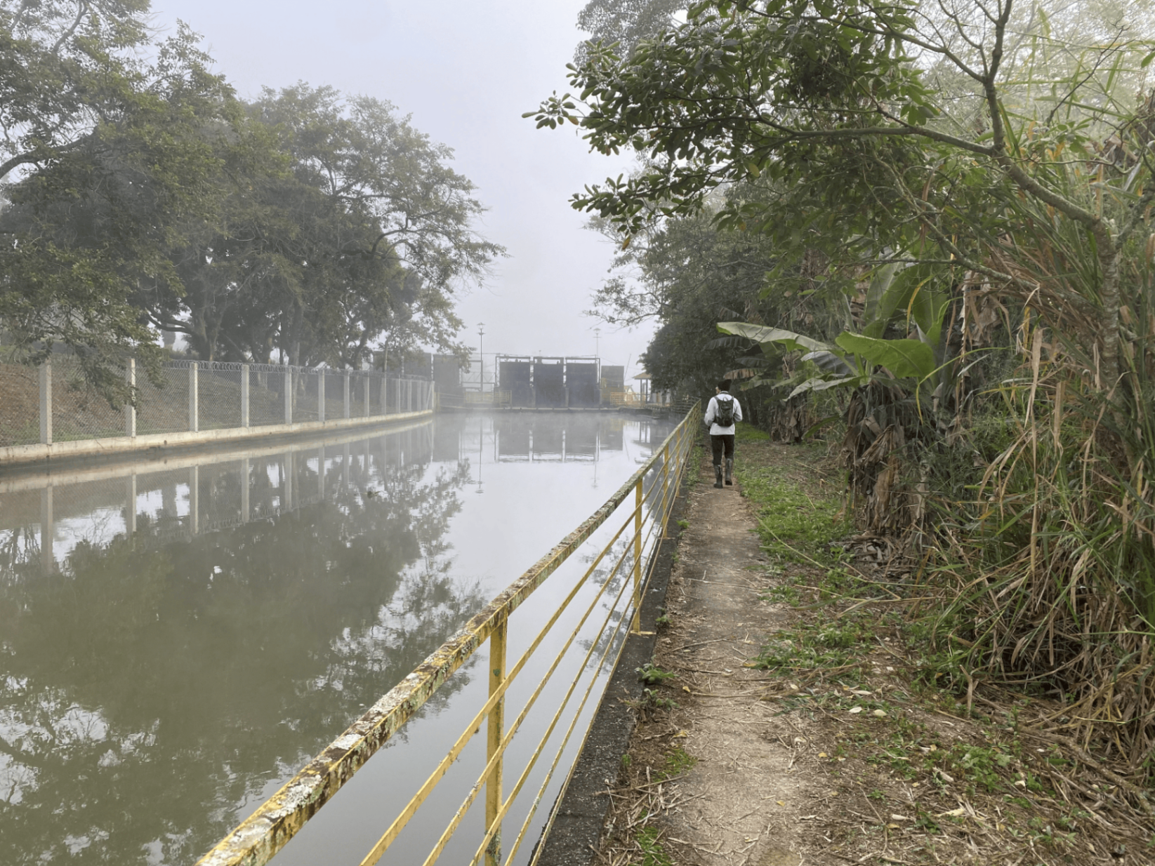 Corpo hídrico com neblina e vegetação ripária em área de estudo