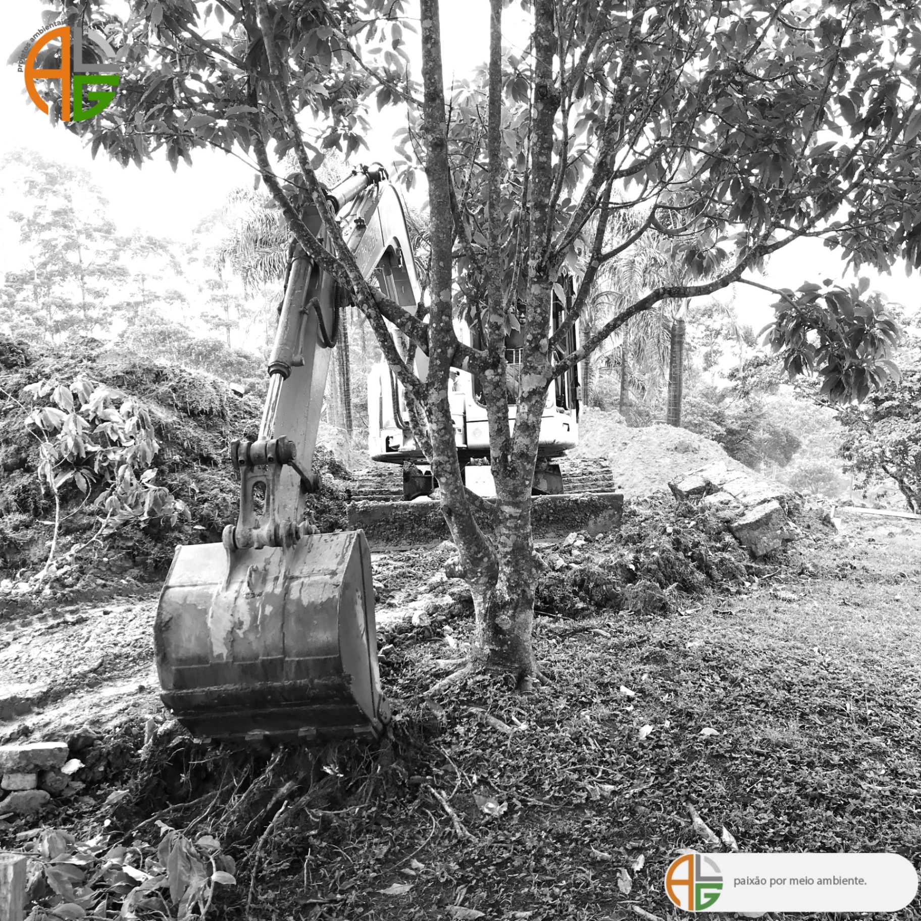 Escavadeira operando em supressão de vegetação com autorização ambiental