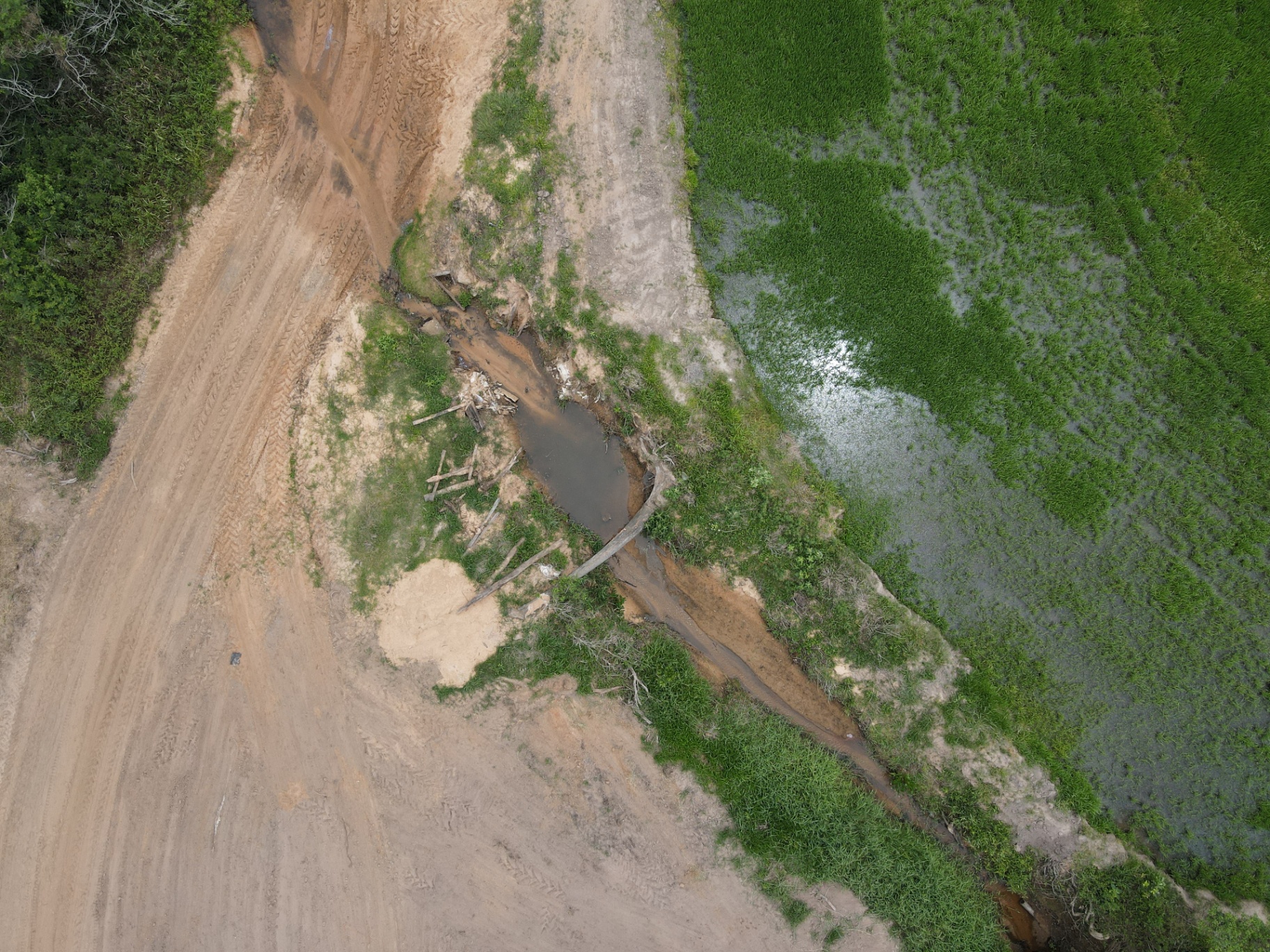 Imagem aérea de processo erosivo em margem de curso d'água com assoreamento