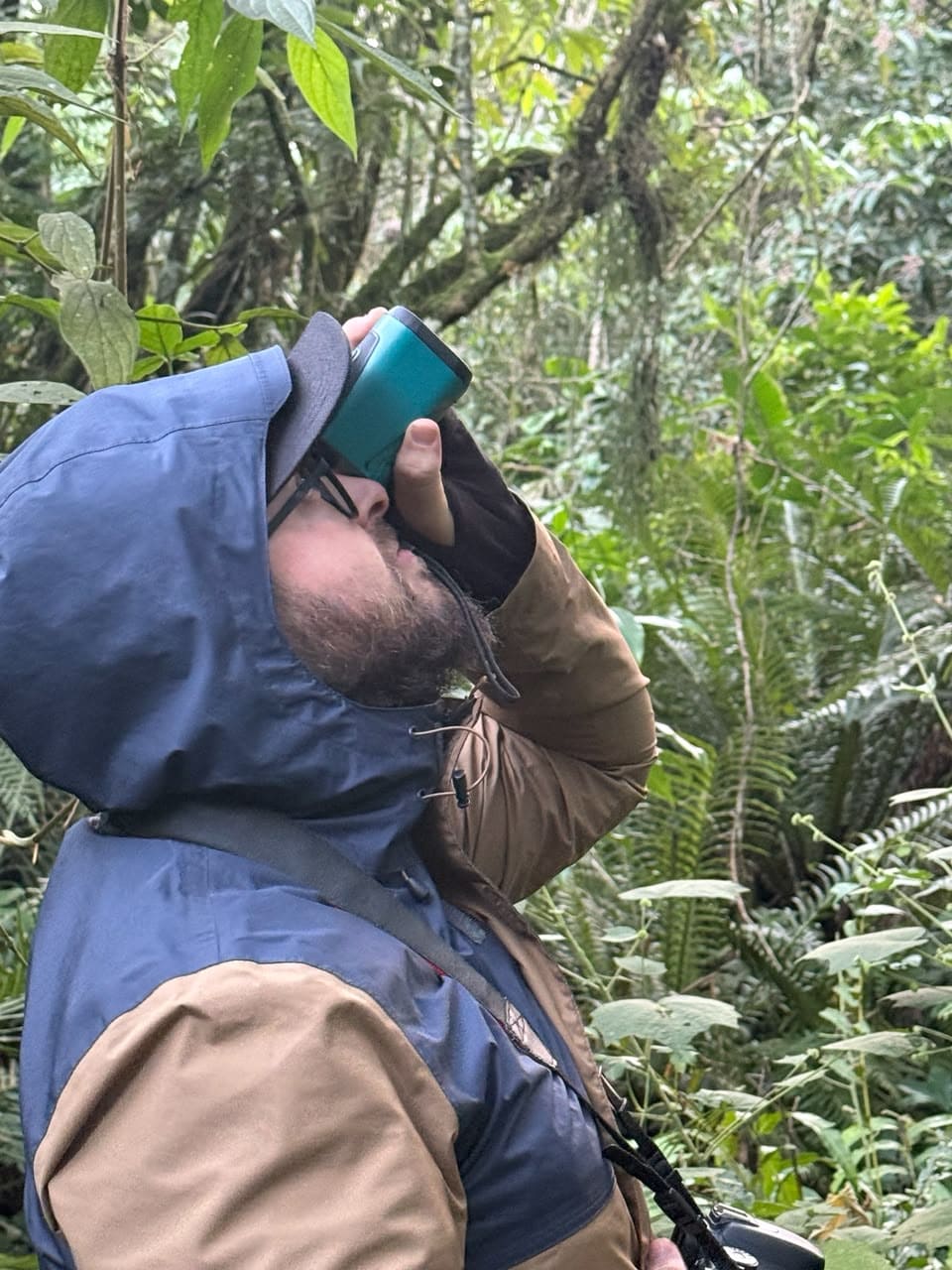 Especialista utilizando binóculo para observação de fauna em mata atlântica