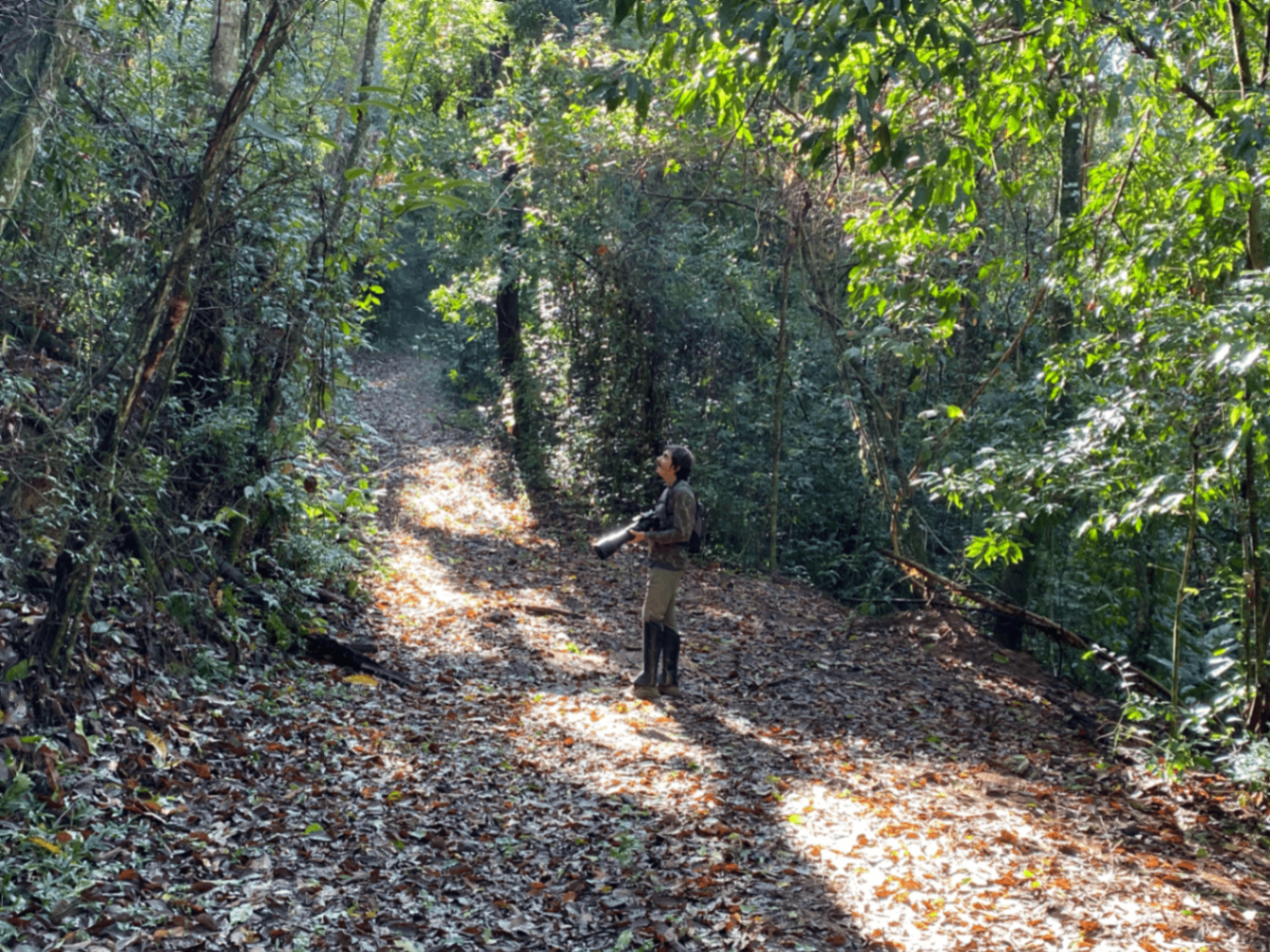 Biólogo com teleobjetiva registrando avifauna em trilha na Mata Atlântica