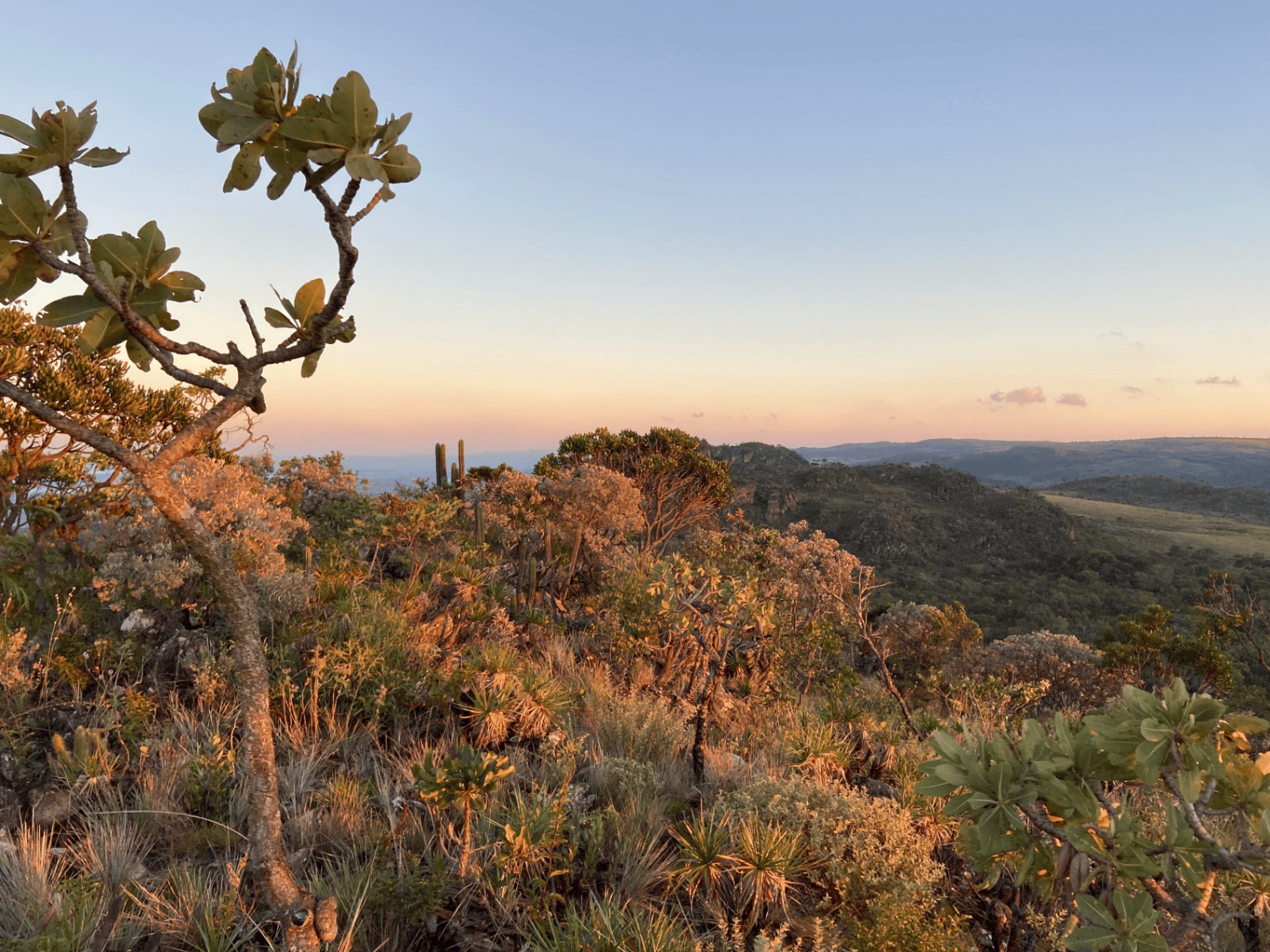 Vista panorâmica de vegetação em serra ao entardecer