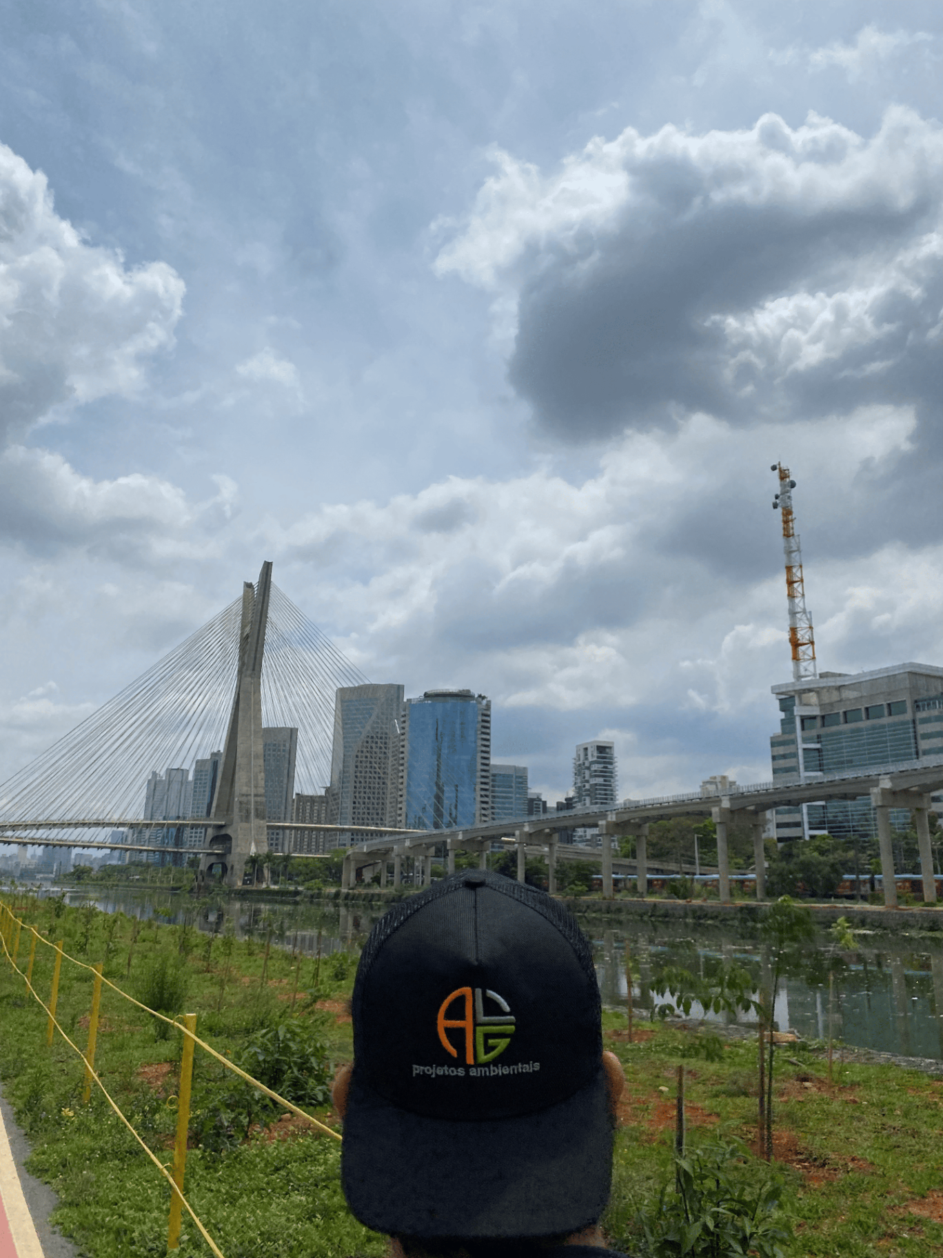 Técnico da ALG em campo na margem do Rio Pinheiros próximo à Ponte Estaiada