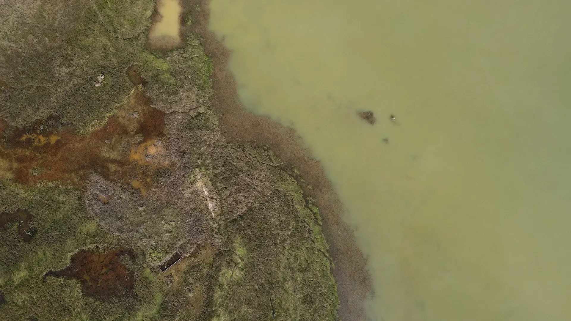 Vista aérea de drone sobre margem de represa com vegetação nativa e áreas de preservação